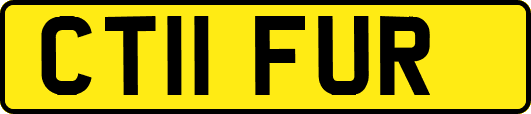 CT11FUR