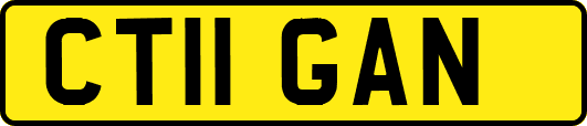 CT11GAN