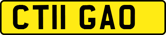 CT11GAO