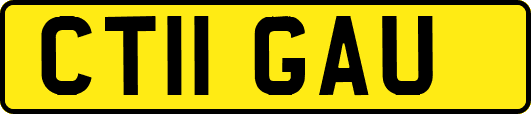 CT11GAU