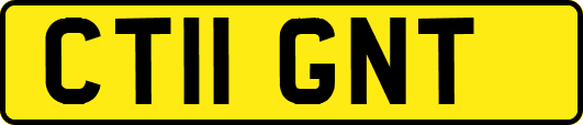 CT11GNT