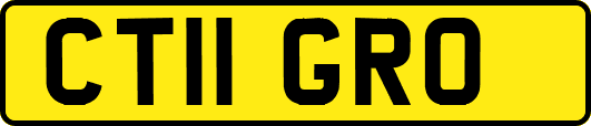 CT11GRO