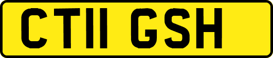 CT11GSH