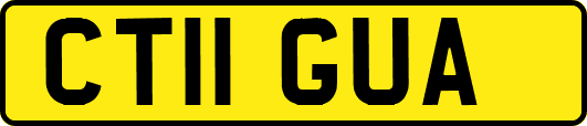 CT11GUA