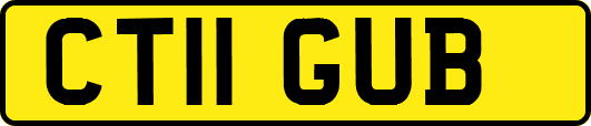 CT11GUB