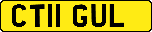 CT11GUL