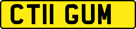 CT11GUM