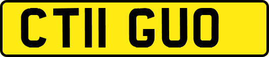 CT11GUO