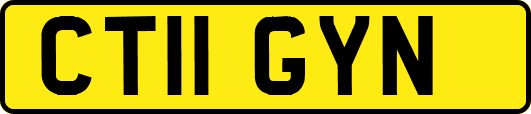 CT11GYN