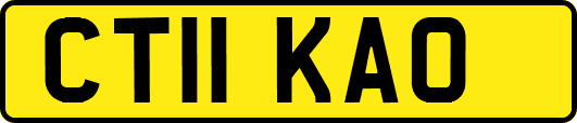 CT11KAO