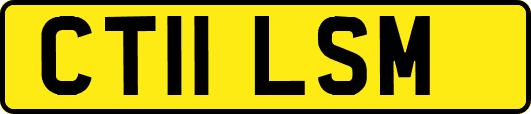 CT11LSM