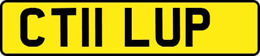 CT11LUP