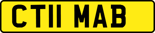CT11MAB