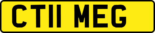 CT11MEG