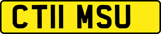 CT11MSU