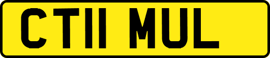 CT11MUL