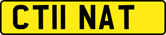 CT11NAT