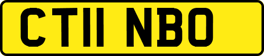 CT11NBO