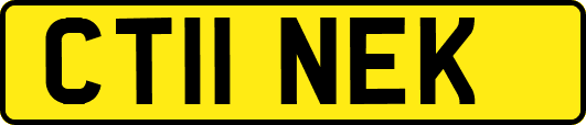 CT11NEK