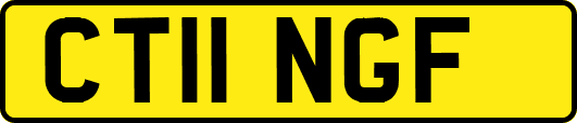 CT11NGF