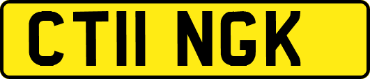 CT11NGK