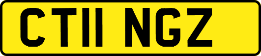 CT11NGZ