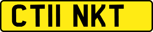 CT11NKT