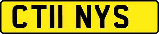 CT11NYS