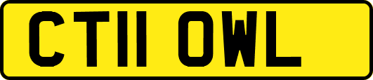 CT11OWL