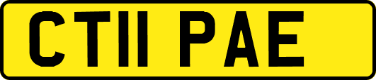 CT11PAE