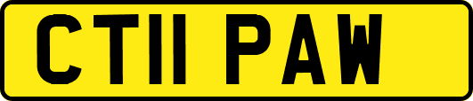CT11PAW