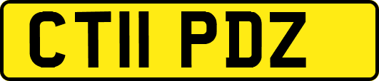 CT11PDZ