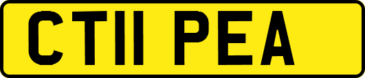 CT11PEA
