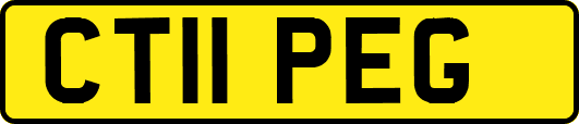 CT11PEG