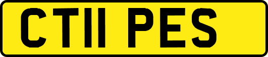 CT11PES