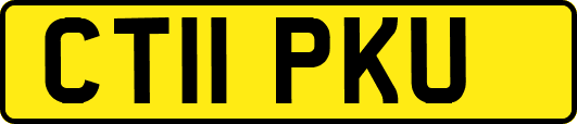 CT11PKU