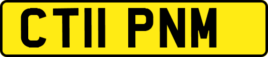 CT11PNM