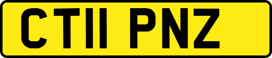 CT11PNZ