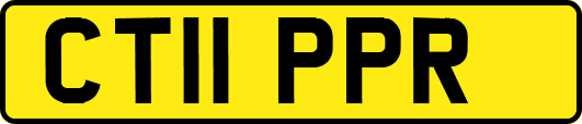 CT11PPR
