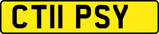 CT11PSY