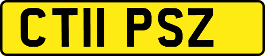 CT11PSZ