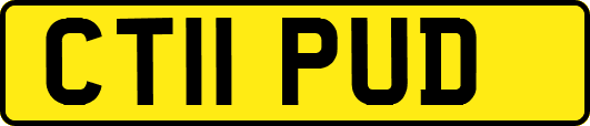 CT11PUD