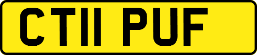 CT11PUF