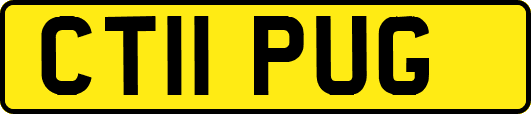 CT11PUG