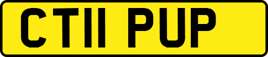CT11PUP