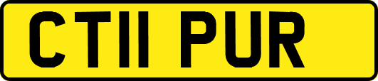 CT11PUR