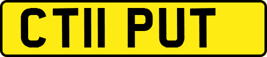 CT11PUT