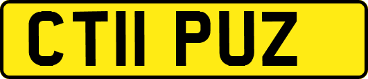 CT11PUZ