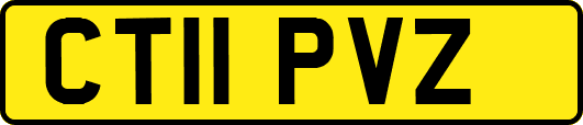 CT11PVZ