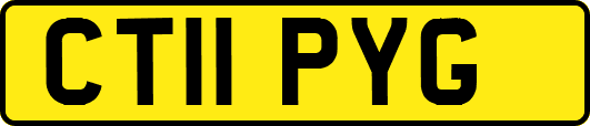 CT11PYG